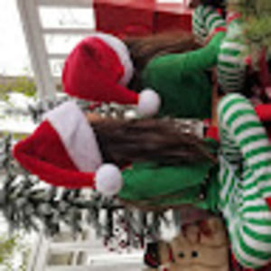 Meet your Posher, Scarlett